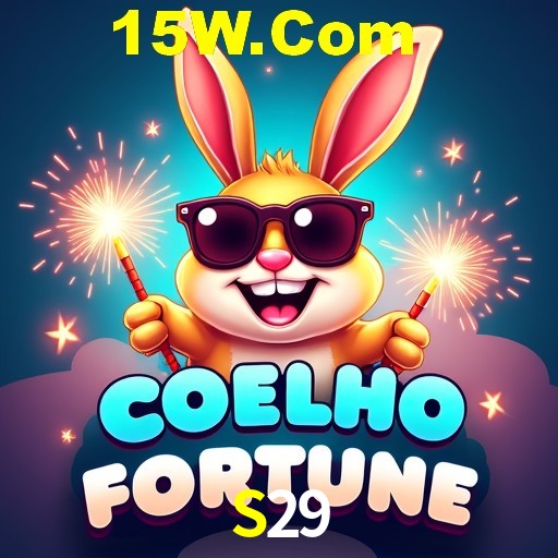 S29 Rio de Janeiro - Bonus Terms